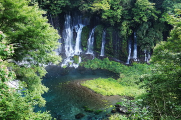 Naklejka na ściany i meble 富士山の夏　天下の名瀑　白糸の滝　絹のような水流