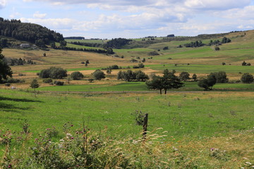 narse de Chaudeyrolles, 43