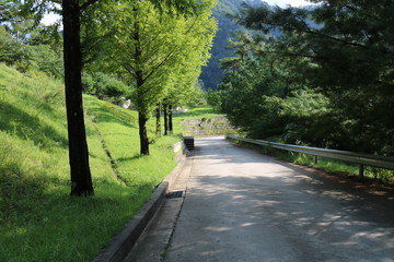 Obraz premium walk in the park