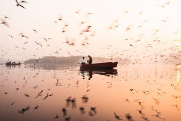 Reflections from yamuna ghat, Delhi.
A boat in between seagulls and their reflection. This is a...