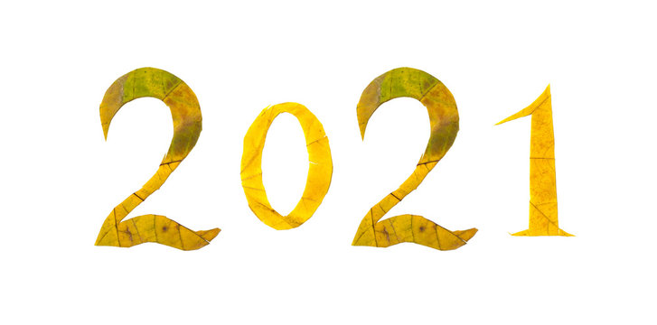 2021.Numbers carved from yellow maple leaves