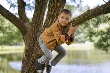 A cute little boy in a jean jacket and pants laying on the branch of big tree by the pond. He is hugging the tree and looking aside. Image with selective focus