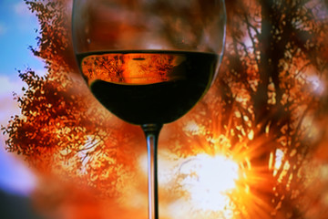 A glass with red wine on a background of bright autumn trees and sun rays. Artistic photo with soft selective focus.