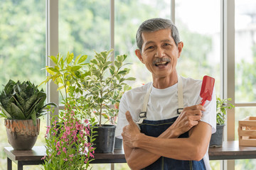 Portrait of senior asian retirement old man in casual outfit doing a hobby with happy and relax gardening tree plant in greenhouse garden farm