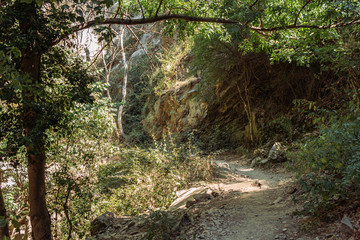 Paisaje de naturaleza con plantas y rocas en un día soleado