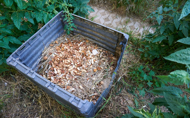 Preparing compost in the garden