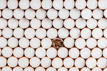 background filter cigarettes, cigarette with tobacco stands out from the general background