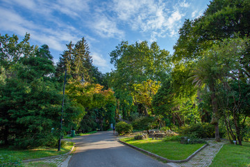 Beautiful view of Batumi Botanical Garden is located near Batumi