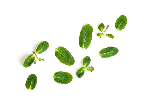 mint leaves isolated on white background, top view