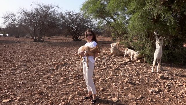 Tourist woman holding on hands baby goats near the Argan tree eating from the branches in Morocco.