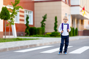 a schoolboy boy with blond glasses and a backpack is standing at the school. Day of knowledge