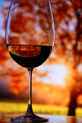 A glass with red wine on a background of bright autumn trees and sun rays. Artistic photo with soft selective focus.