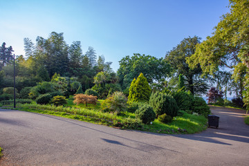 Fototapeta na wymiar Beautiful view of Batumi Botanical Garden is located near Batumi