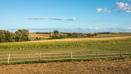 Fototapeta na wymiar The fields in Uhrwiller in France in summer