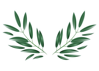 Oliven Zweige Symbol für Frieden und Hoffnung