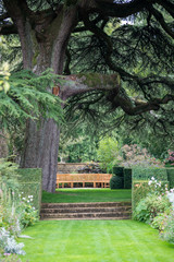 bench in the park