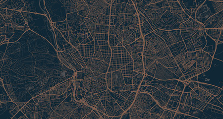 Detailed vector map of Madrid, Spain - obrazy, fototapety, plakaty