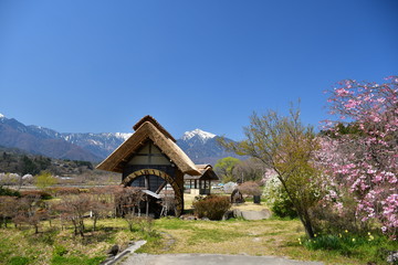 水車小屋の春
