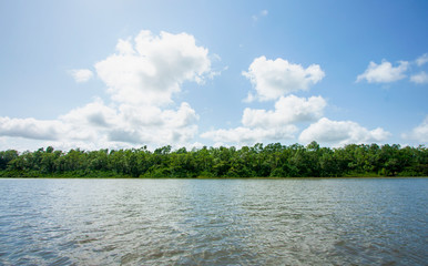 Margem de rio na floresta amazônica. Paisagem brasileira fluvial. Natureza sem pessoas. Água...