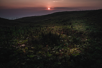 Obraz premium 山の風景