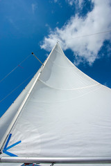 Mastro de veleiro com vela inflada pelo vento em dia ensolarado. Barco navegando