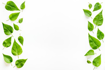 Fototapeta premium Frame of green leaves. Nature background layout. Top view