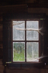 Halloween window in old barn with spider webs