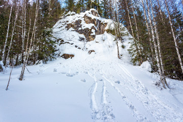 Rock ledge in the winter forest
