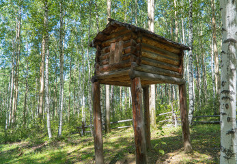 wooden house on high legs in a birch forest. hut standing on chicken legs. Wooden House Fairy Grandmother Yaga.