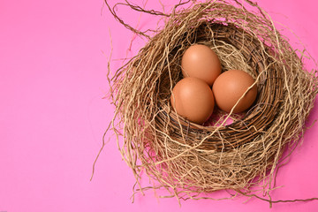 The eggs were put in nest isolated on colorful background