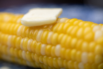 Corn on the cob with a pad of butter, an American summer staple.