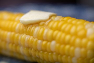 Corn on the cob with a pad of butter, an American summer staple.