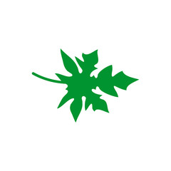Papaya leaf logo design template