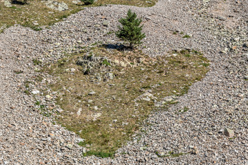 Coeur dans la rocaille dans les Alpes