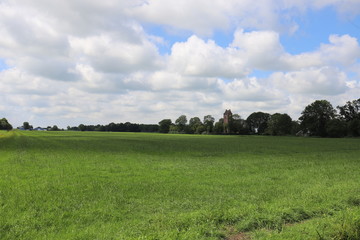 Beautiful blue sky over a Dutch meadow with forest edge.