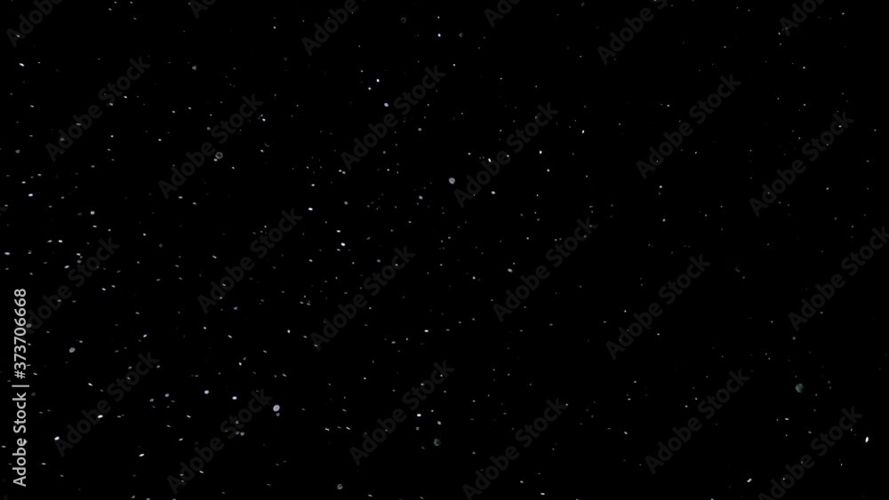 Wall mural natural organic dust particles floating on black background. dynamic dust particles randomly float i