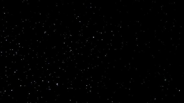 Natural Organic Dust Particles Floating On Black Background. Dynamic Dust Particles Randomly Float In Space. Shimmering Glittering Dust Particles With Bokeh.