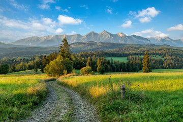 Beautiful summer landscape of Tatra mountains