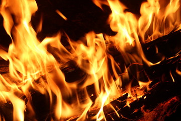 Flames of fire on a black background