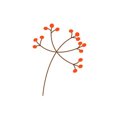 Sprig with rowan berries flat vector isolated