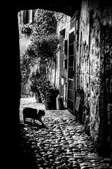 Vicolo di Calcata con gatto