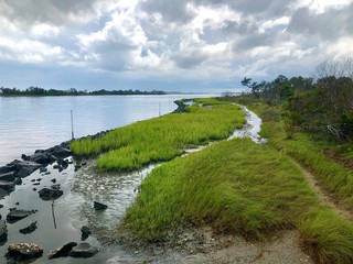 landscape with lake