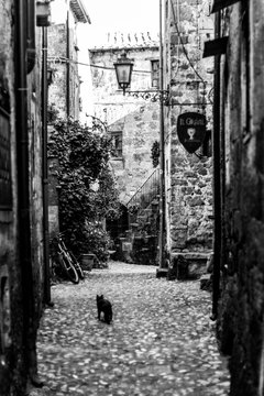 Vicolo di Calcata con gatto