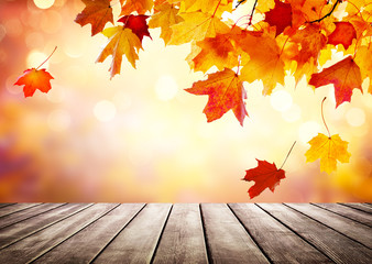 Autumn golden abstract background with bokeh light and colorful leaves.
