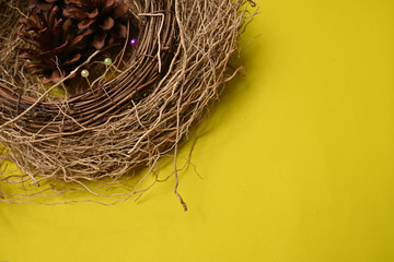 Many sewing push pins were put nest isolated on colorful background. 
