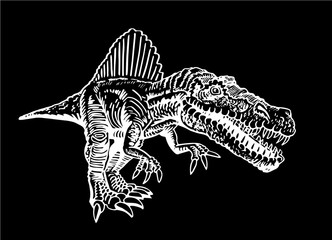 Vector spinosaurus isolated on black,dinosaur for printing  and design,engraved illustration