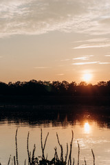 Obraz premium Sunset on the lake. Beautiful sunset on the lake.