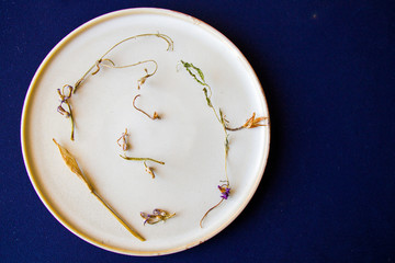 Autumn dried plants and flower on the plate on the blue background