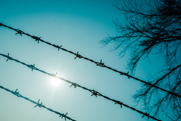 Background of barbed wire against the sky.