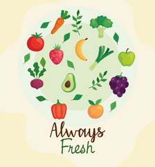 banner fruits and vegetables always fresh, concept of healthy food vector illustration design